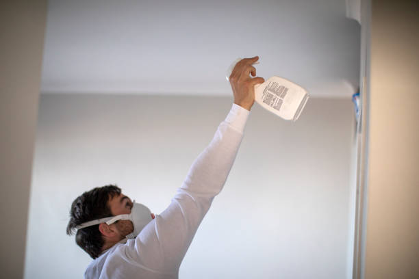 Best Mold Damage Repair  in Denair, CA
